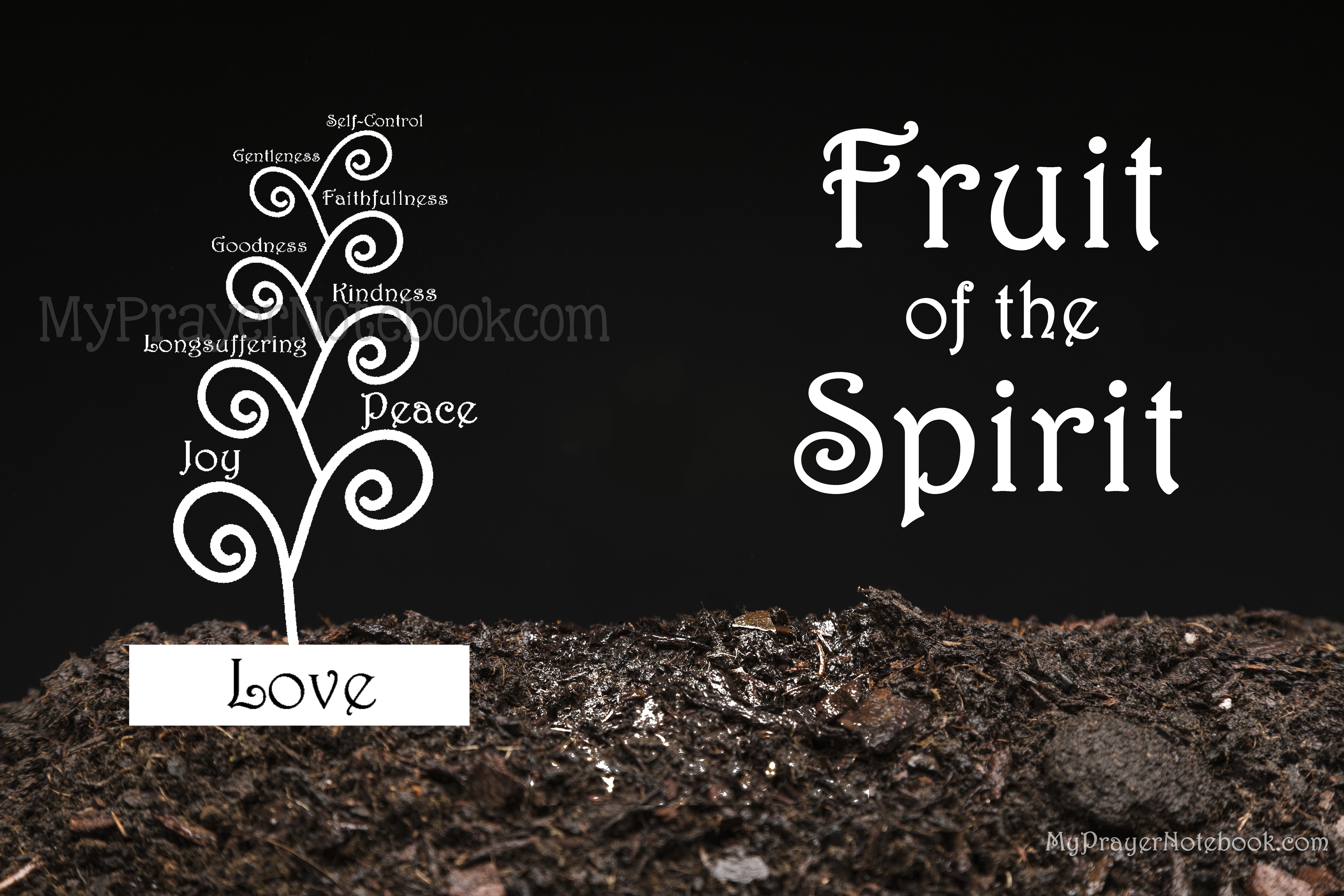Fruit of the Spirit – Overview