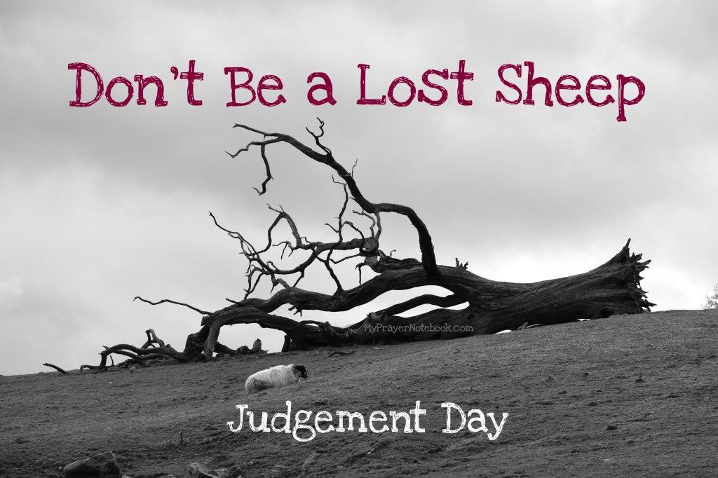 Don’t Be a Lost Sheep – Judgement&nbsp;Day